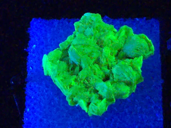 Autunite Crystal in Perky Box, 4 Grams – Fluorescent Uranium Ore - Image 5
