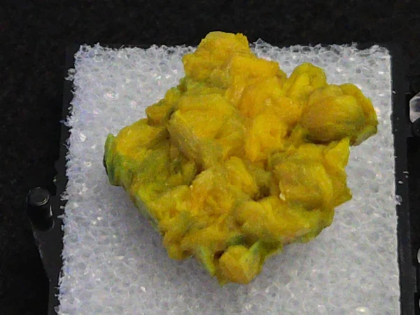 Autunite Crystal in Perky Box, 4 Grams – Fluorescent Uranium Ore - Image 6