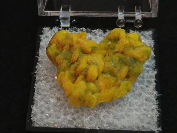 Autunite Crystal in Perky Box, 4 Grams – Fluorescent Uranium Ore - Image 2