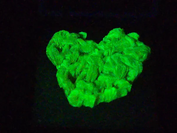 Autunite Crystal in Perky Box, 4 Grams – Fluorescent Uranium Ore