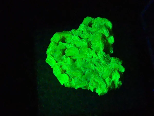 Autunite Crystal in Perky Box, 4 Grams – Fluorescent Uranium Ore - Image 5