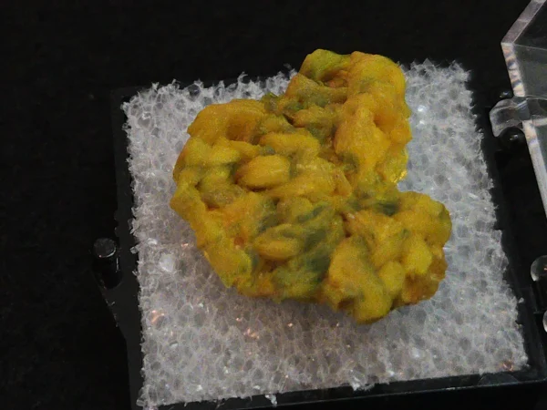Autunite Crystal in Perky Box, 4 Grams – Fluorescent Uranium Ore - Image 6