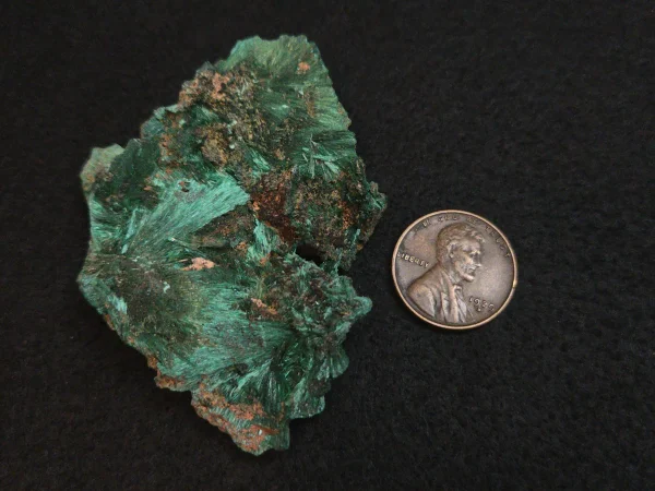 Acicular Malachite in/on  Matrix - DR Congo - Image 6