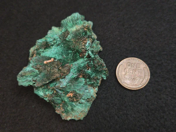 Acicular Malachite in/on  Matrix - DR Congo - Image 7
