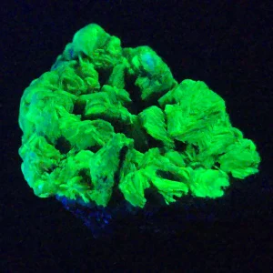 Lamellar Autunite / Meta-Autunite on Matrix ~ Fluorescent Uranium Ore, 30 Grams