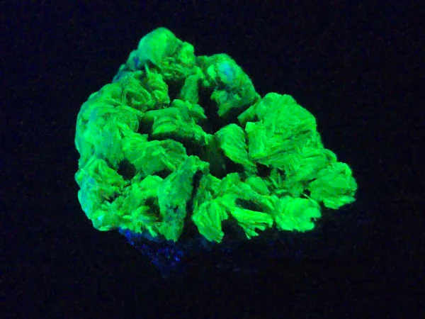 Lamellar Autunite / Meta-Autunite on Matrix ~ Fluorescent Uranium Ore, 30 Grams