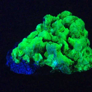 Lamellar Autunite / Meta-Autunite on Matrix ~ Fluorescent Uranium Ore, 30 Grams