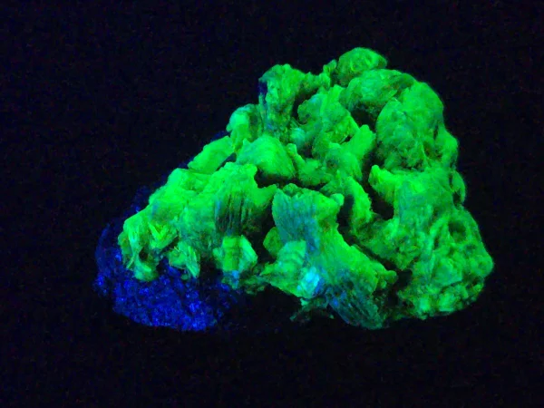 Lamellar Autunite / Meta-Autunite on Matrix ~ Fluorescent Uranium Ore, 30 Grams