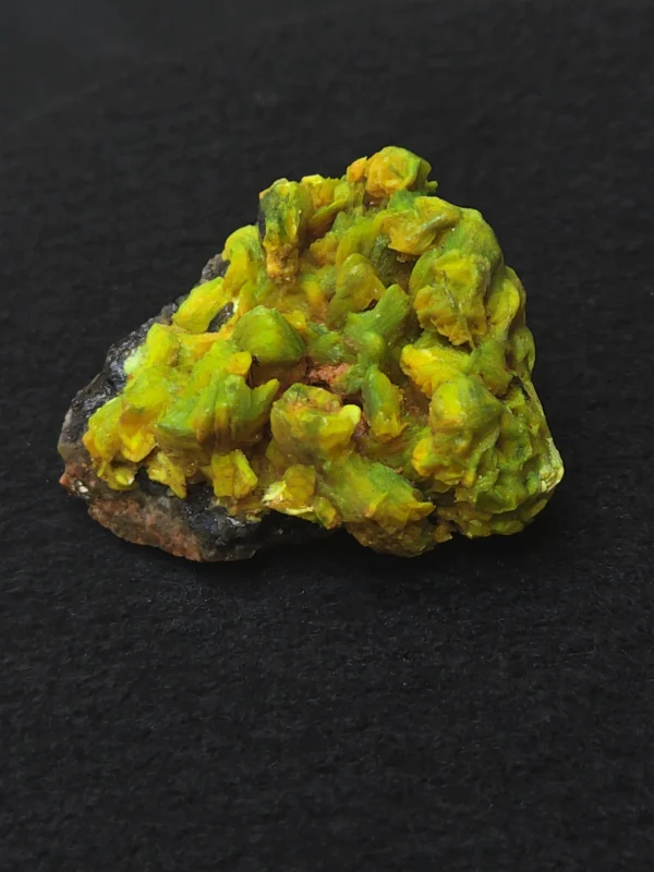 Lamellar Autunite / Meta-Autunite on Matrix ~ Fluorescent Uranium Ore,  30 Grams - Image 4