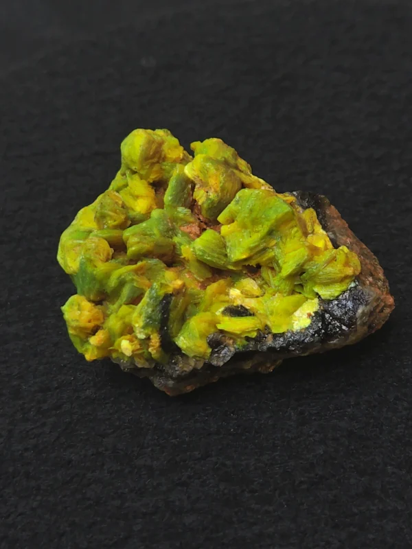 Lamellar Autunite / Meta-Autunite on Matrix ~ Fluorescent Uranium Ore,  30 Grams - Image 2