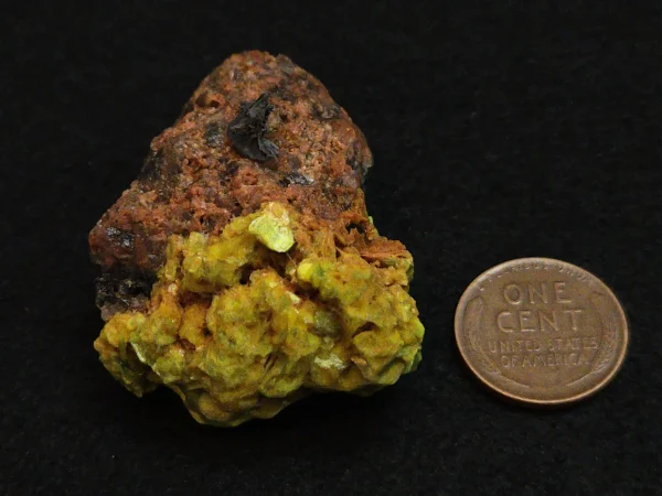 Lamellar Autunite / Meta-Autunite on Matrix ~ Fluorescent Uranium Ore,  30 Grams - Image 12