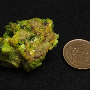 Lamellar Autunite / Meta-Autunite on Matrix ~ Fluorescent Uranium Ore, 30 Grams