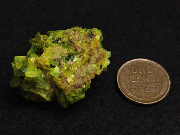 Lamellar Autunite / Meta-Autunite on Matrix ~ Fluorescent Uranium Ore, 30 Grams