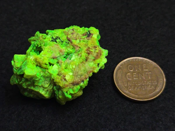 Lamellar Autunite Crystal~ Fluorescent Uranium Ore, 15 Grams - Image 12