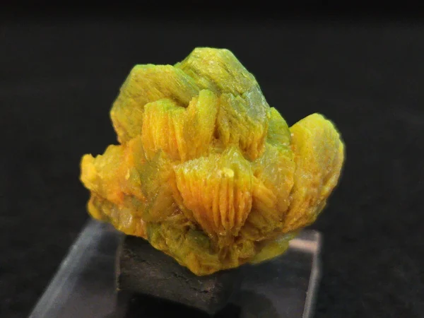 Lamellar Autunite Crystal~ Fluorescent Uranium Ore, 9 Grams - Image 2