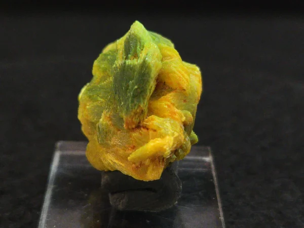 Lamellar Autunite Crystal~ Fluorescent Uranium Ore, 9 Grams - Image 11