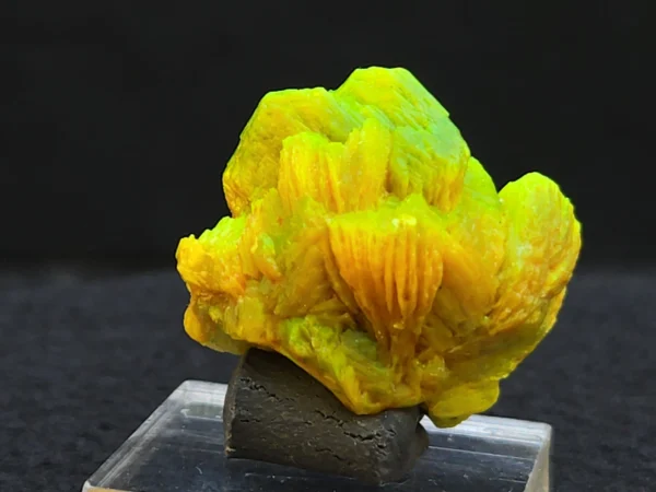Lamellar Autunite Crystal~ Fluorescent Uranium Ore, 9 Grams - Image 3