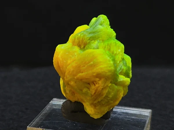 Lamellar Autunite Crystal~ Fluorescent Uranium Ore, 9 Grams - Image 9