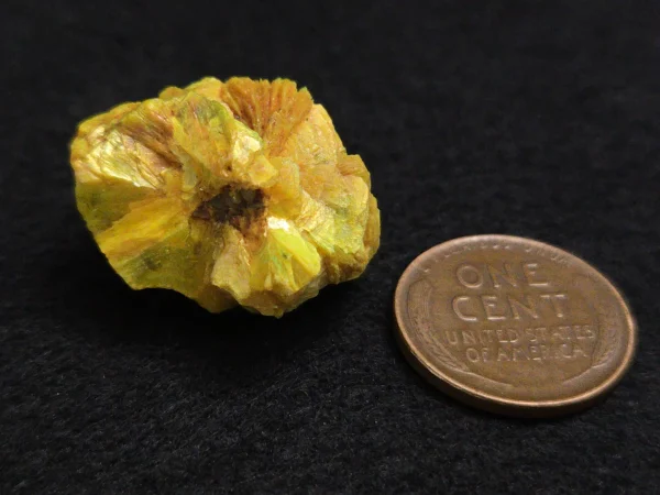 Lamellar Autunite Crystal~ Fluorescent Uranium Ore, 9 Grams - Image 17