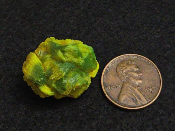 Lamellar Autunite Crystal~ Fluorescent Uranium Ore, 9 Grams - Image 16
