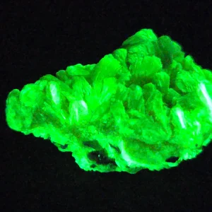 Autunite / Meta-Autunite Crystal Fluorescent Uranium Ore, 8 Grams