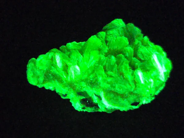Autunite / Meta-Autunite Crystal Fluorescent Uranium Ore, 8 Grams