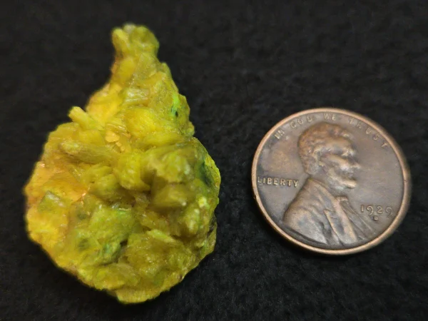 Autunite / Meta-Autunite Crystal  Fluorescent Uranium Ore, 8 Grams - Image 11