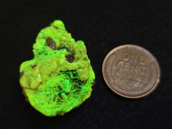 Autunite / Meta-Autunite Crystal  Fluorescent Uranium Ore, 8 Grams - Image 12