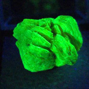 Autunite Crystal in Perky Box, 6 Grams – Fluorescent Uranium Ore