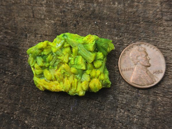 Autunite Crystal - Fluorescent Uranium Ore, 11 Grams - Image 9