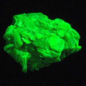 Autunite Crystal in Perky Box, 4 Grams – Fluorescent Uranium Ore