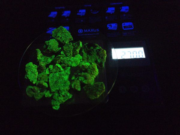 25 Grams of Autunite Fragments in a Lead Container, Bulk Uranium Ore