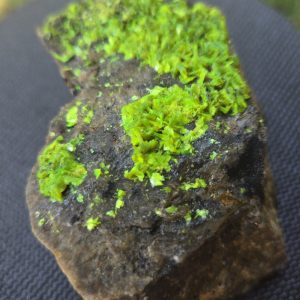 Autunite on Matrix Cabinet Specimen ~ Fluorescent Uranium Ore