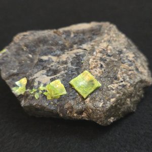 Autunite on Matrix Cabinet Specimen ~ Fluorescent Uranium Ore