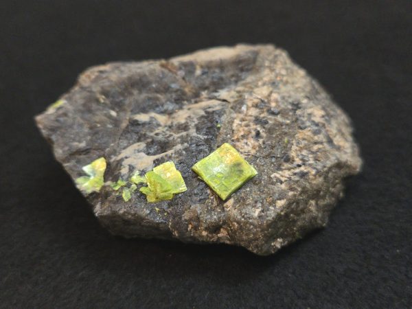 Autunite on Matrix Cabinet Specimen ~ Fluorescent Uranium Ore