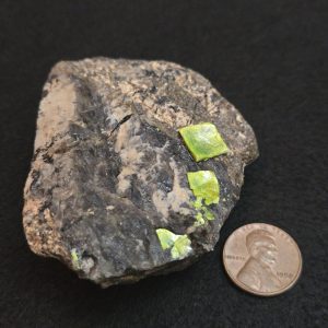 Autunite on Matrix Cabinet Specimen ~ Fluorescent Uranium Ore