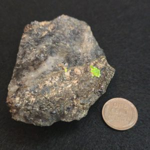 Autunite on Matrix Cabinet Specimen ~ Fluorescent Uranium Ore