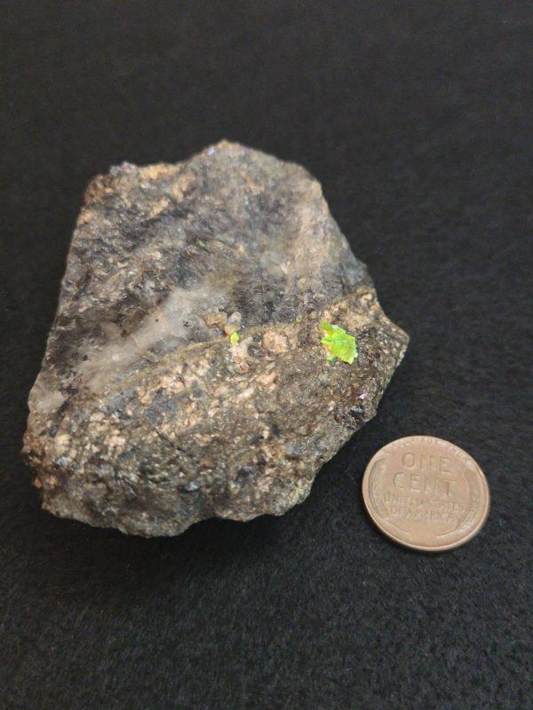 Autunite on Matrix Cabinet Specimen ~ Fluorescent Uranium Ore