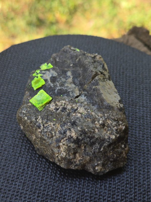 Autunite on Matrix Cabinet Specimen ~ Fluorescent Uranium Ore