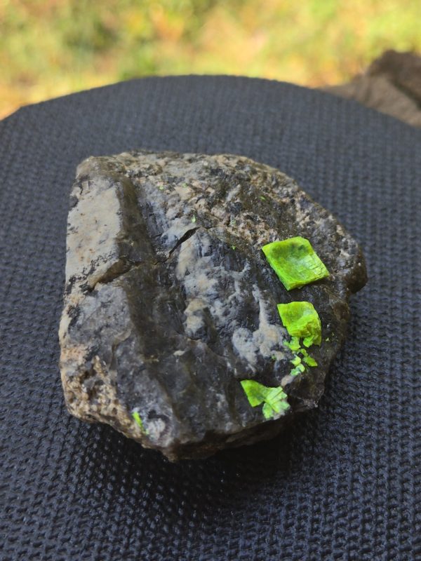 Autunite on Matrix Cabinet Specimen ~ Fluorescent Uranium Ore
