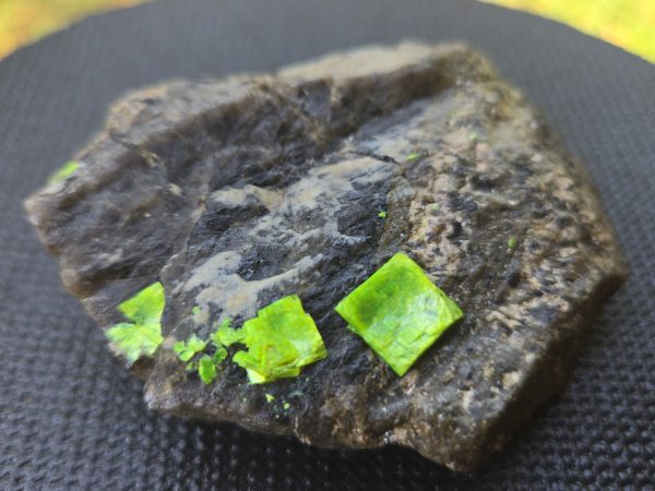 Autunite on Matrix Cabinet Specimen ~ Fluorescent Uranium Ore - Image 5
