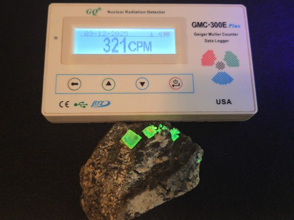 Autunite on Matrix Cabinet Specimen ~ Fluorescent Uranium Ore - Image 7