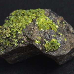 Autunite on Matrix Cabinet Specimen ~ Fluorescent Uranium Ore