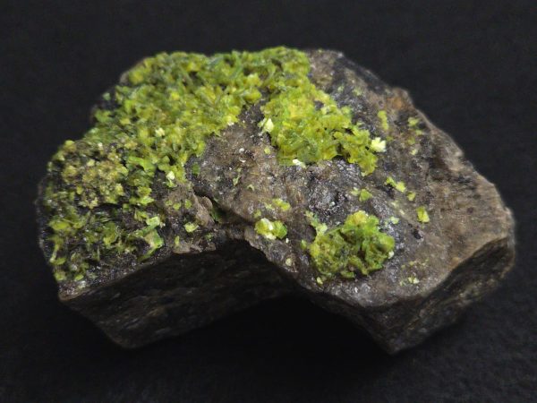 Autunite on Matrix Cabinet Specimen ~ Fluorescent Uranium Ore