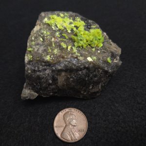 Autunite on Matrix Cabinet Specimen ~ Fluorescent Uranium Ore