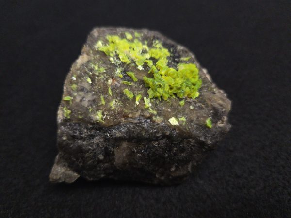 Autunite on Matrix Cabinet Specimen ~ Fluorescent Uranium Ore - Image 2