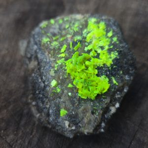 Autunite on Matrix Cabinet Specimen ~ Fluorescent Uranium Ore