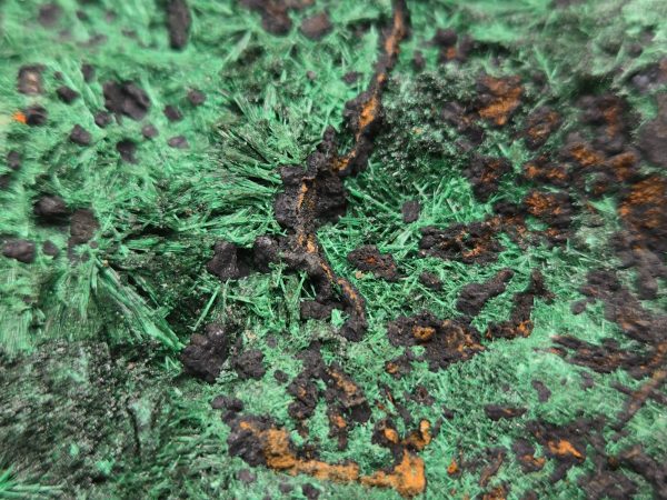 Malachite and Heteroginite  - Kolwezi mining district, Lualaba, DR Congo - Image 4