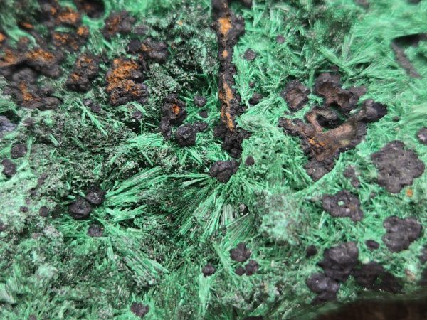 Malachite and Heteroginite  - Kolwezi mining district, Lualaba, DR Congo - Image 5