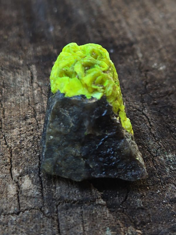 Autunite on Matrix  ~ Fluorescent Uranium Ore - Image 3